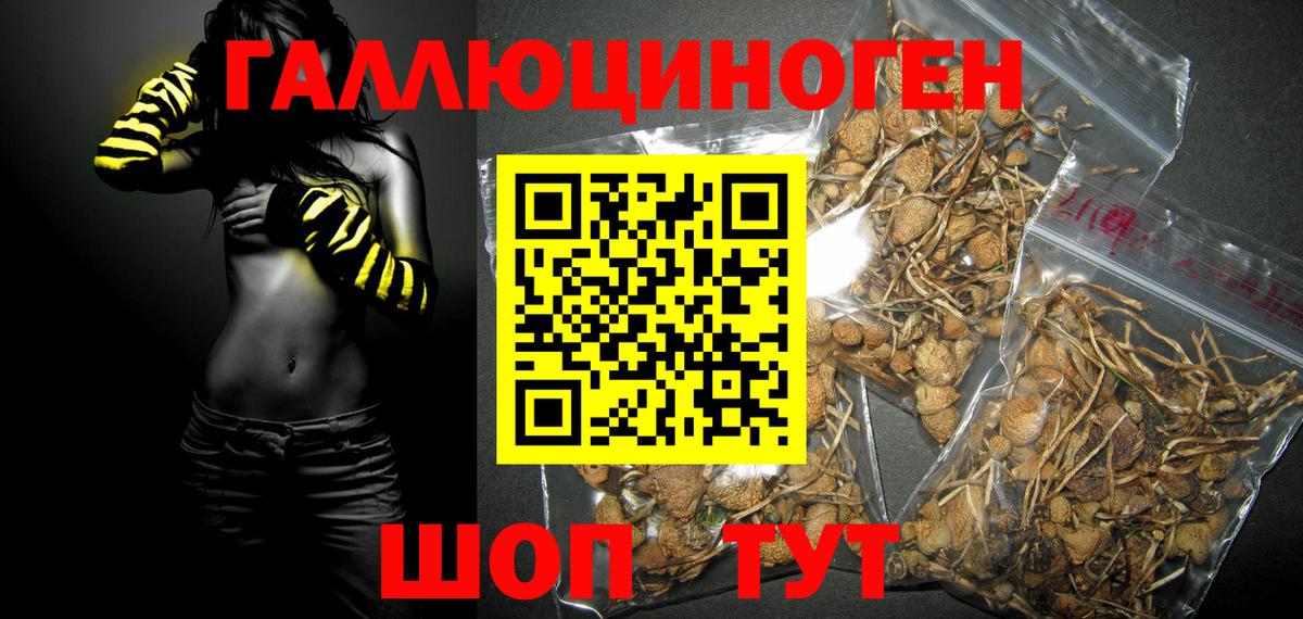 Галлюциногенные грибы ЛСД Дербент
