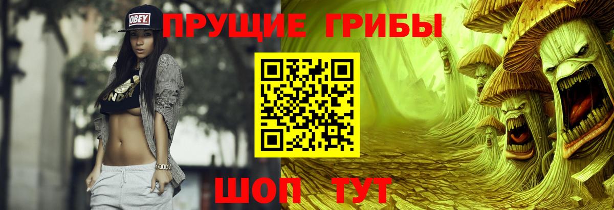 Псилоцибиновые грибы Cubensis  Вход с VPN  где купить наркотик  Дербент 